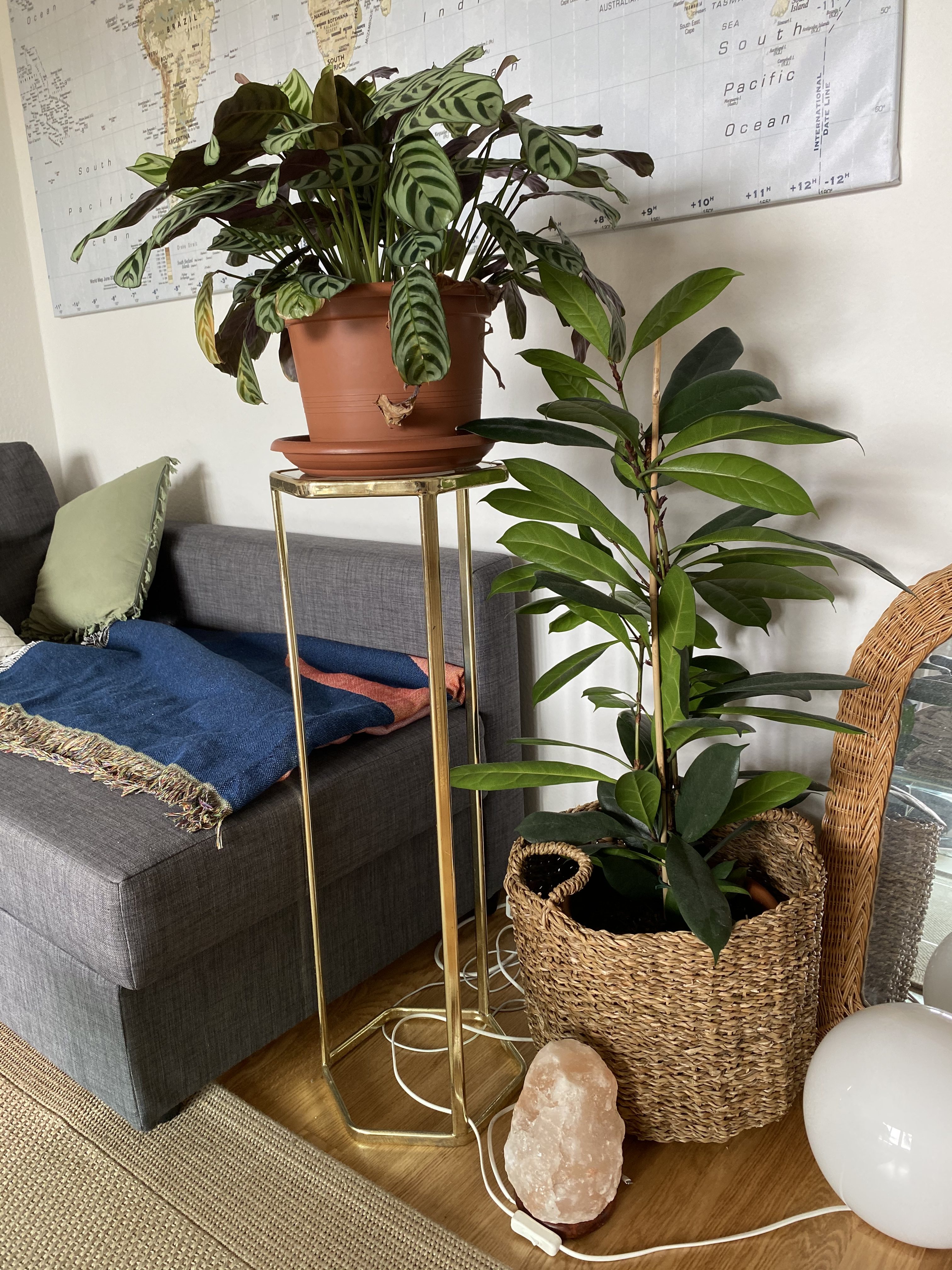 Paire de porte-plantes – Image 6