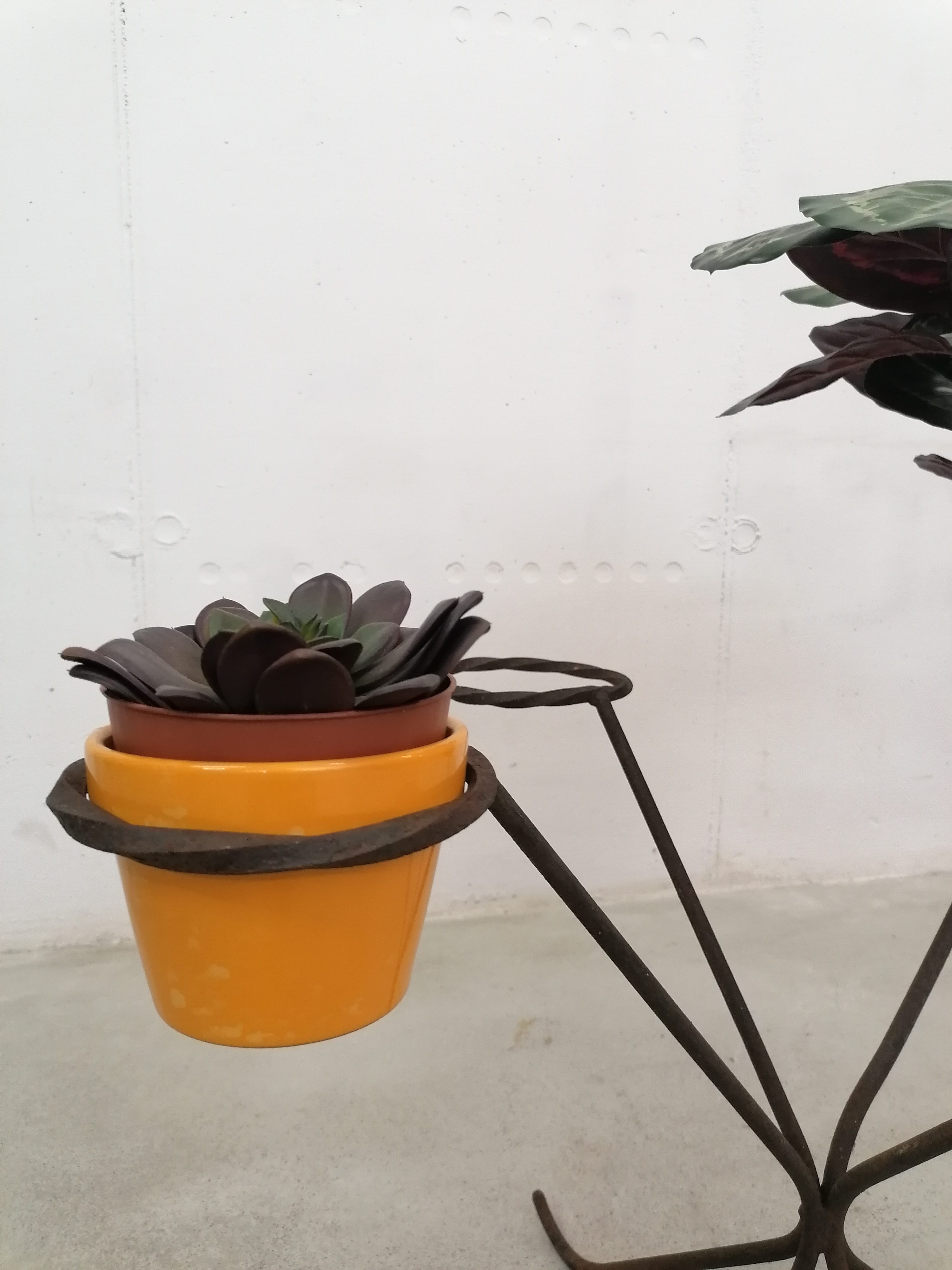 Porte-plantes – Image 11