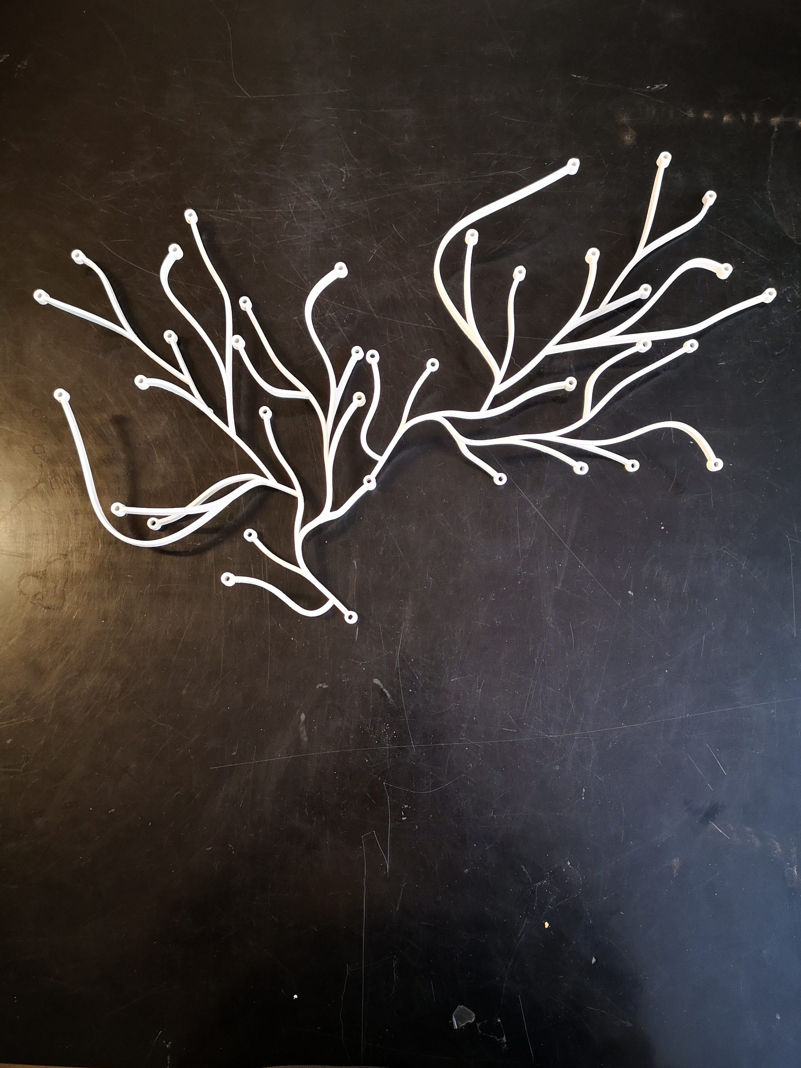 Lot de 11 algues de Bouroullec pour Vitra (x2) – Bild 3