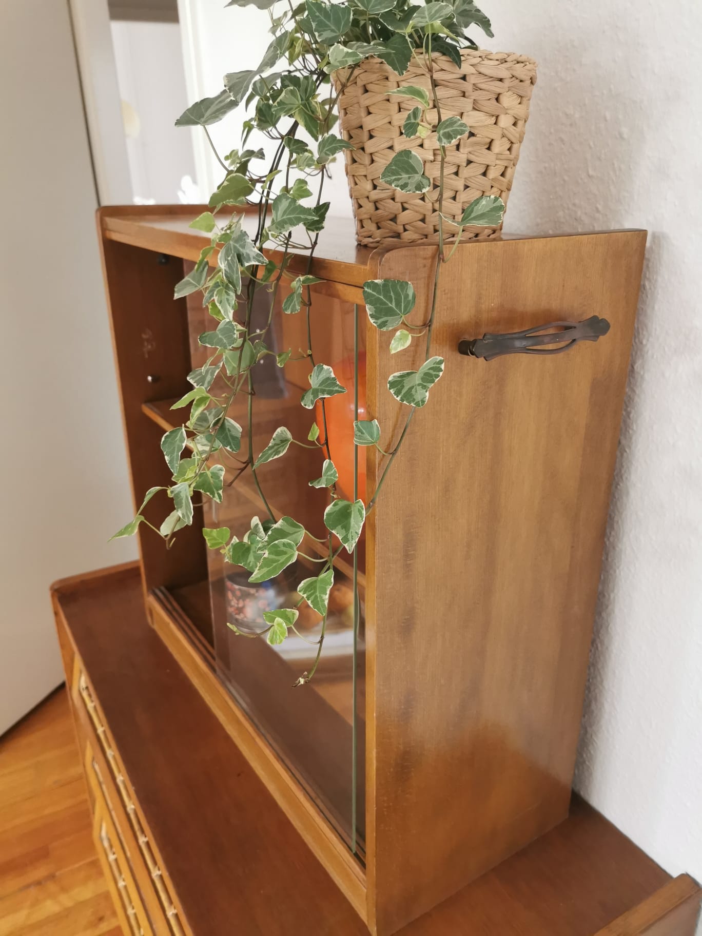 Vitrine / étagère Pago – Bild 4