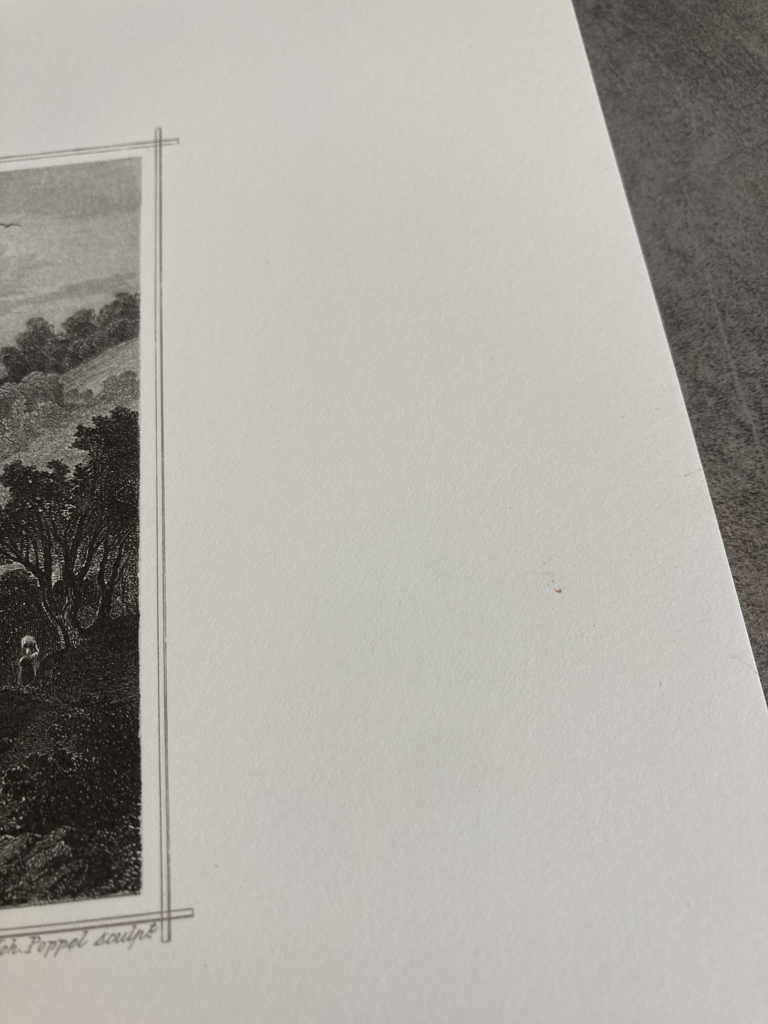 Gravure Schaffhausen – Bild 3