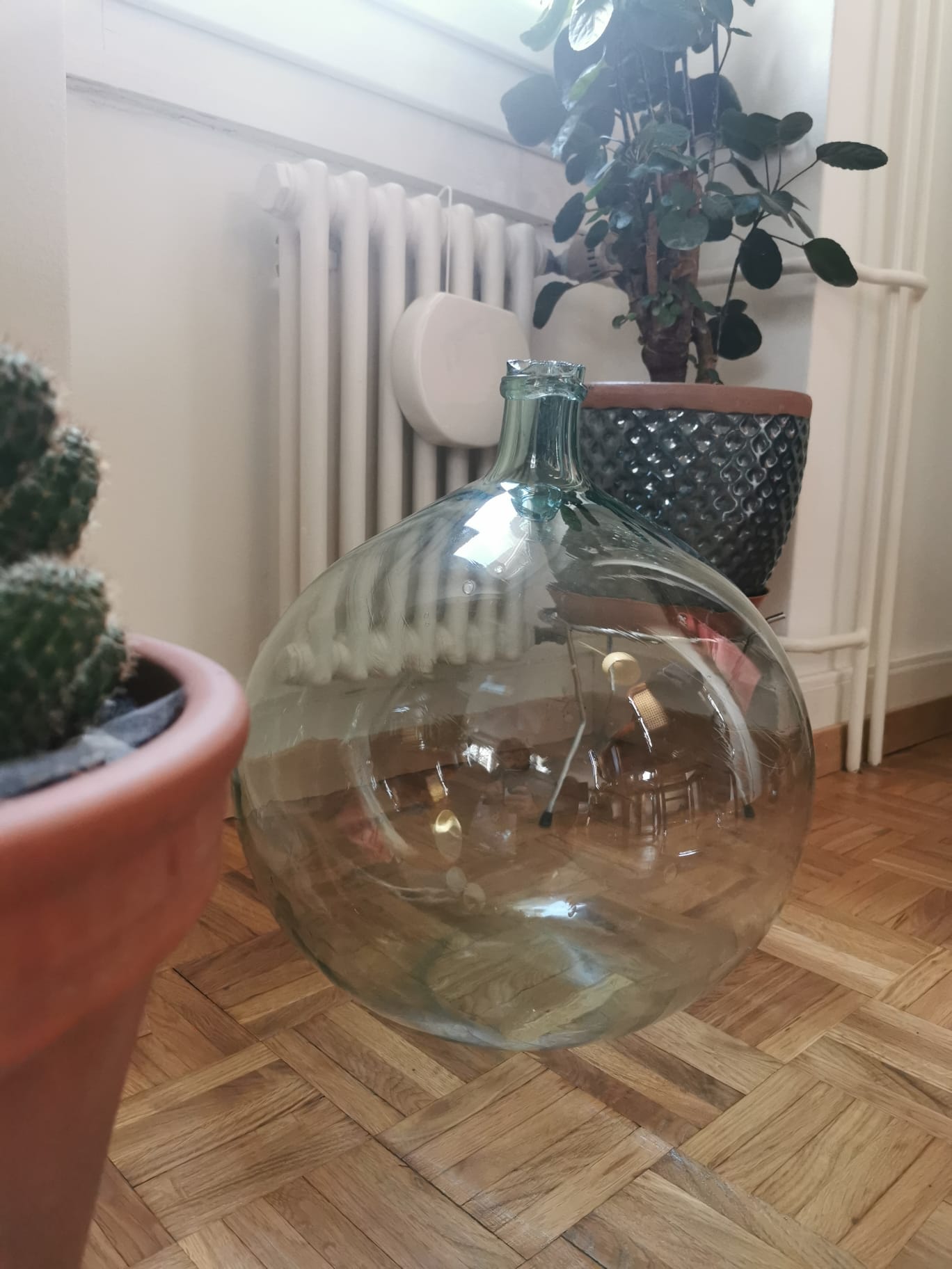 Ancienne dame-jeanne – Image 3