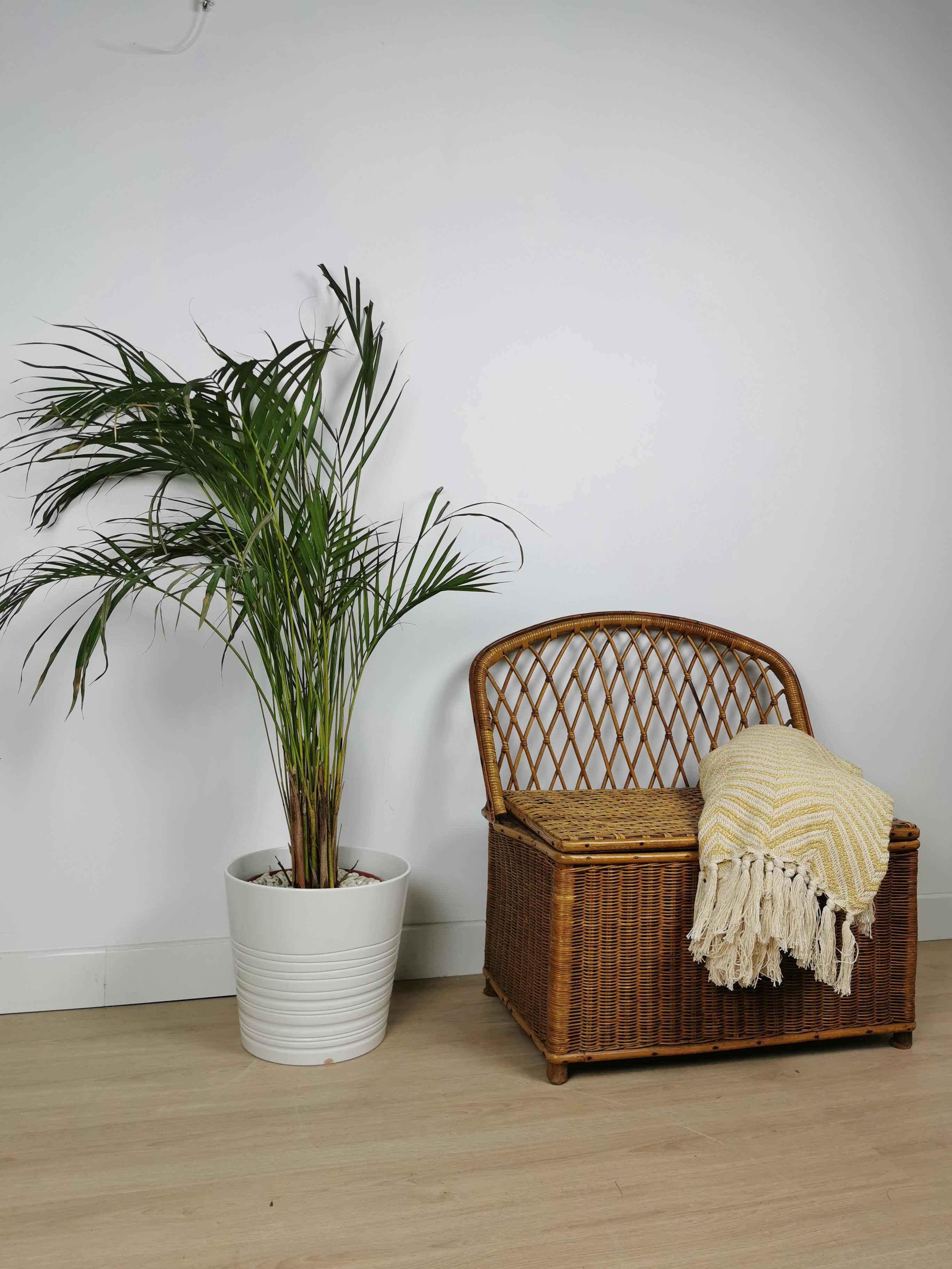 Banc coffre en rotin pour enfant – Image 3