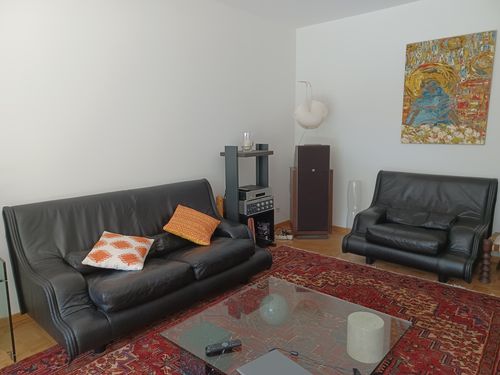 Fauteuil De Sede – Image 3