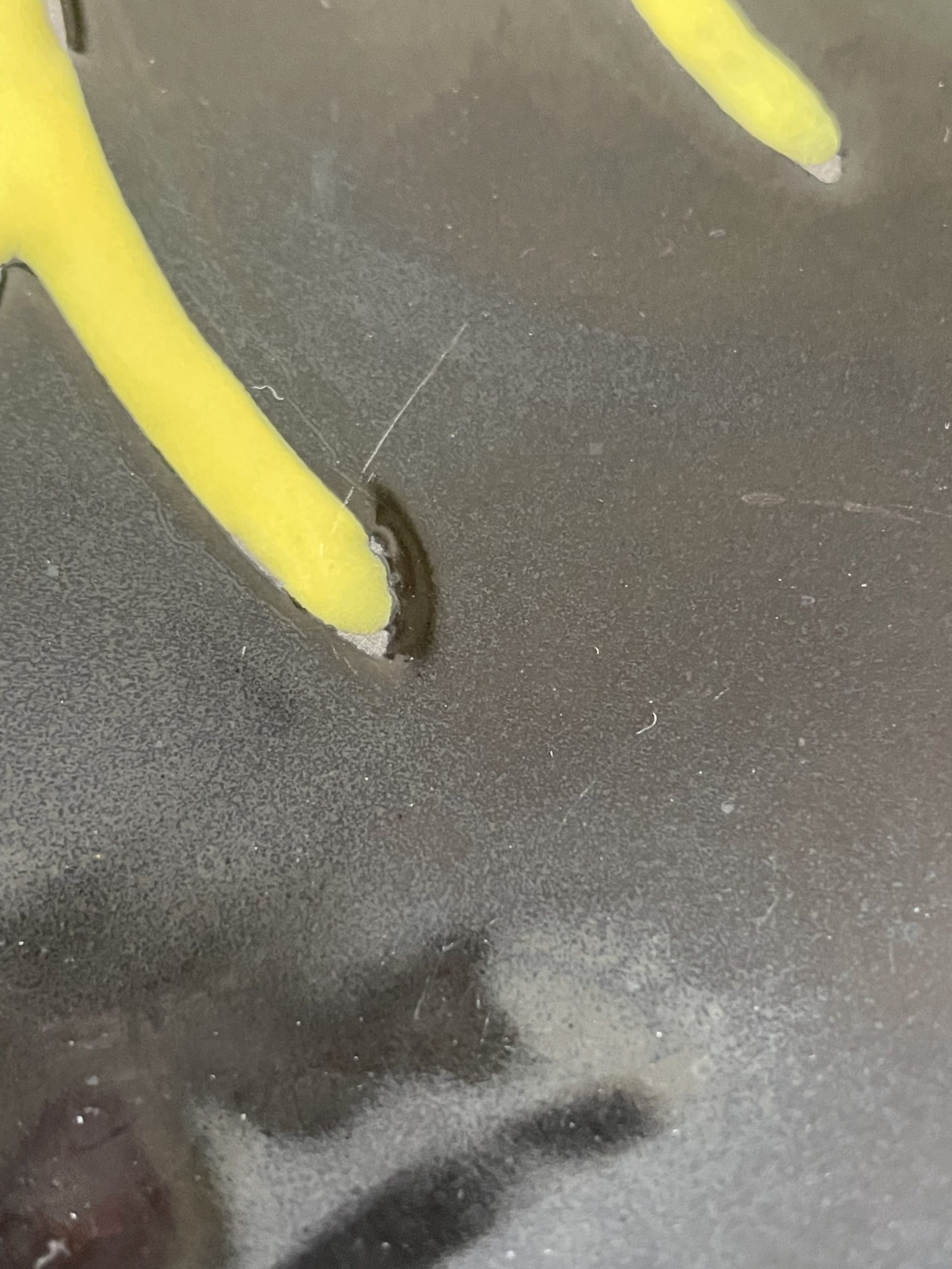 Grande coupe forme étoile – Image 11