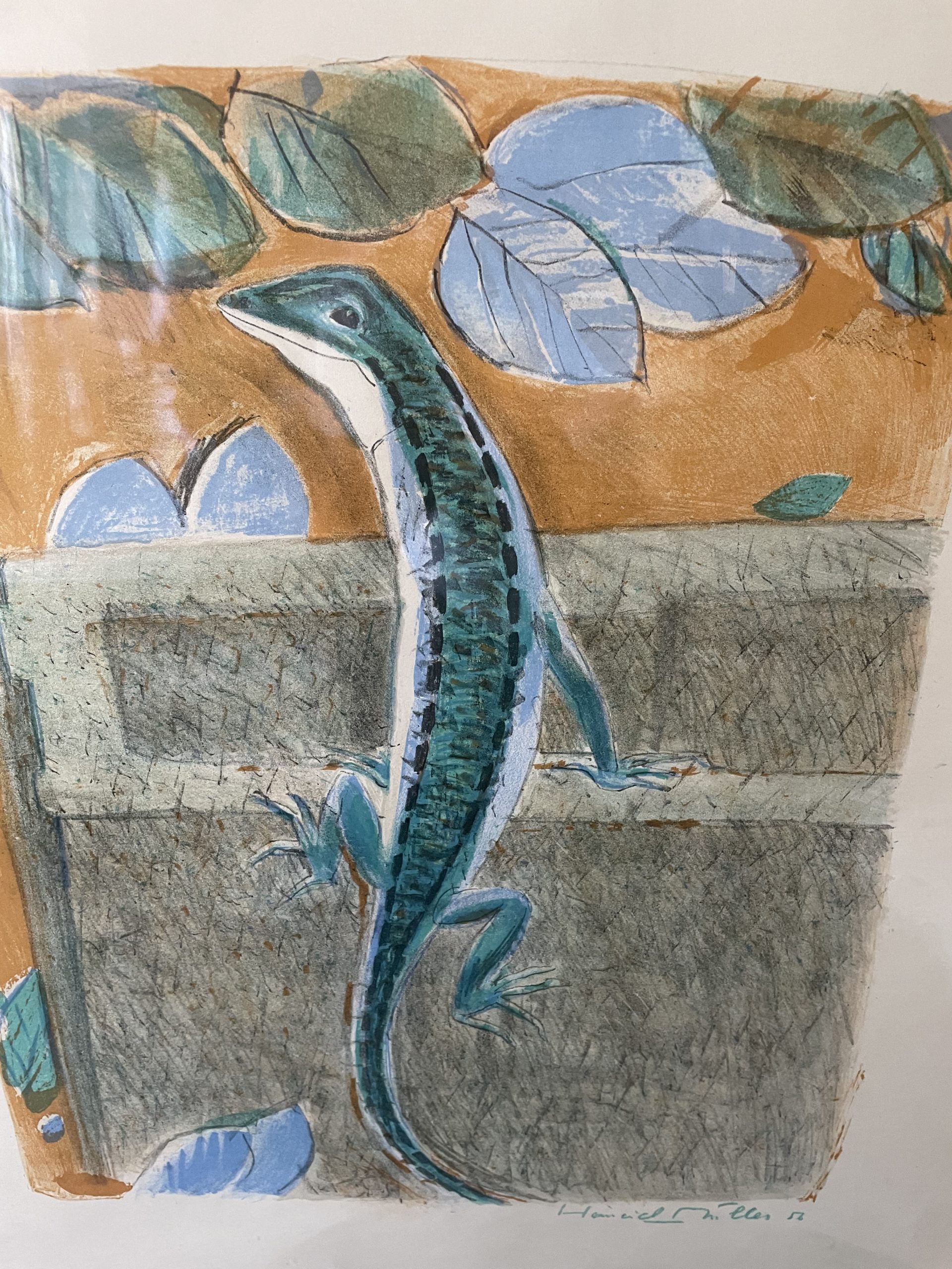Lithographie Henri Muller, le lézard – Image 7