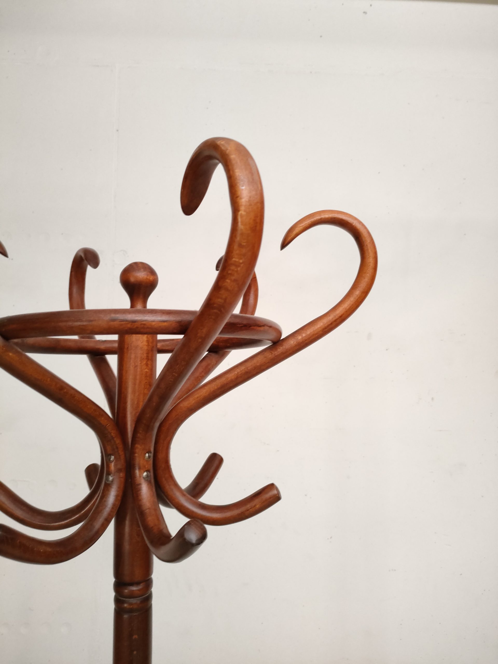 Porte-manteaux perroquet – Image 4