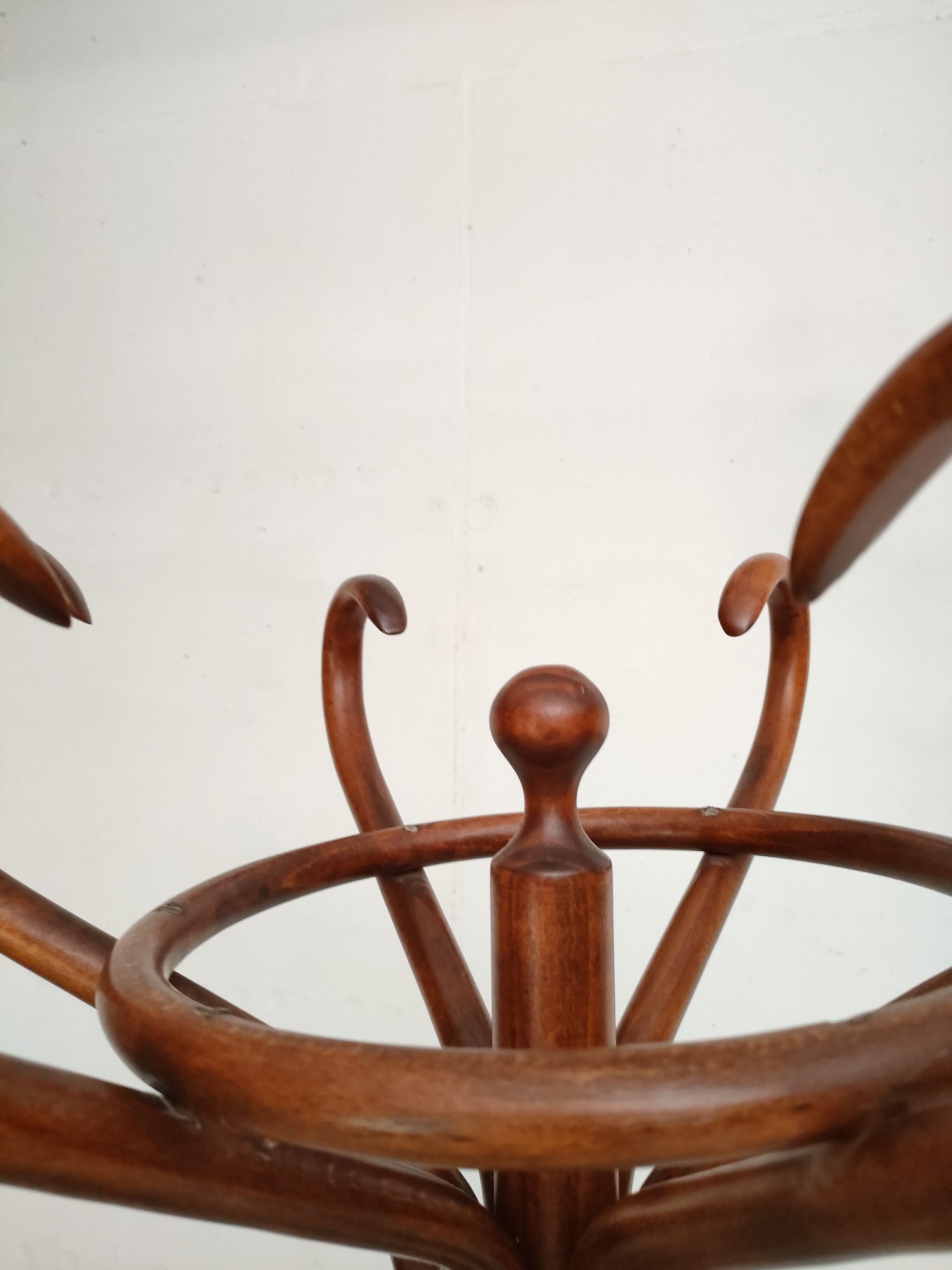 Porte-manteaux perroquet – Image 5