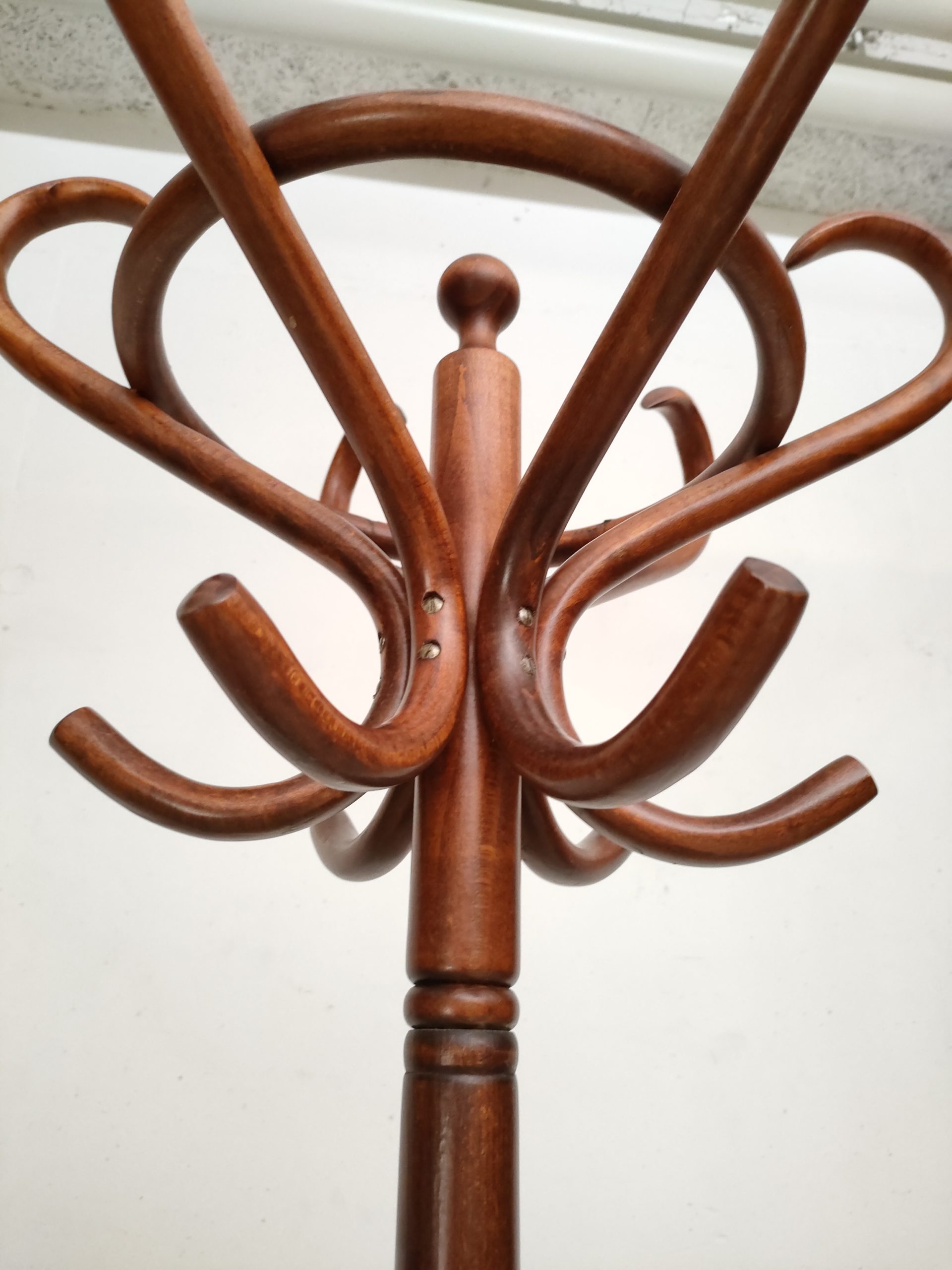 Porte-manteaux perroquet – Image 11