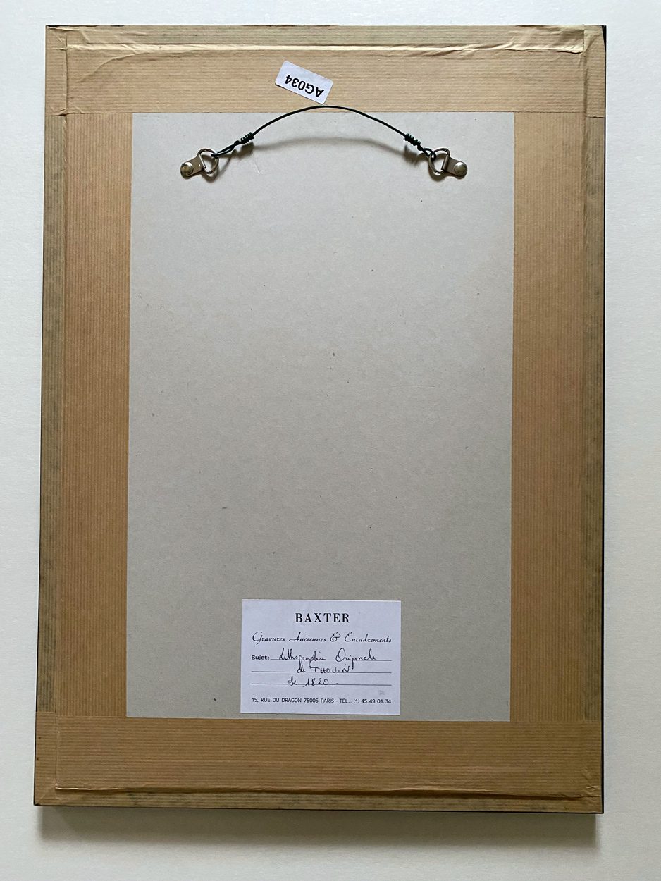 Lithographie de Gabriel Thouin "Projet d’une ferme expérimentale de la zone Torride" – Image 4