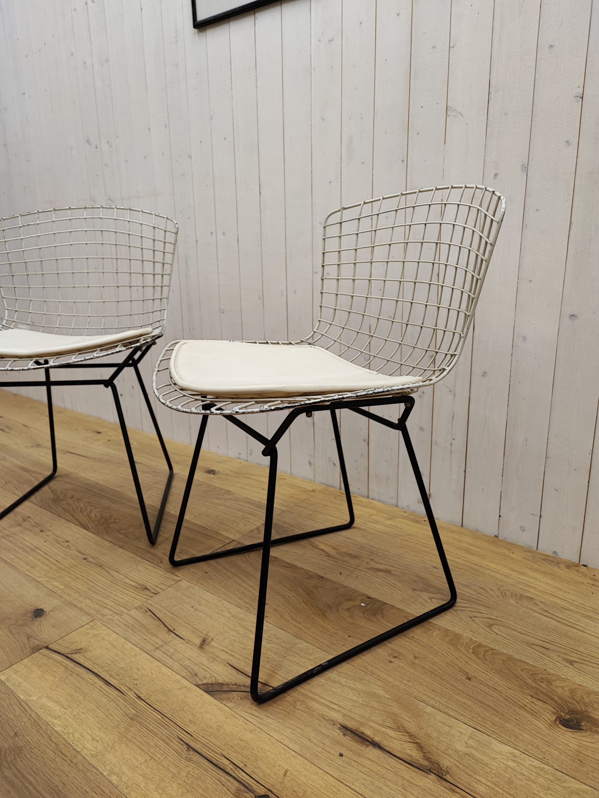 Chaise Bertoia par Knoll – Image 2