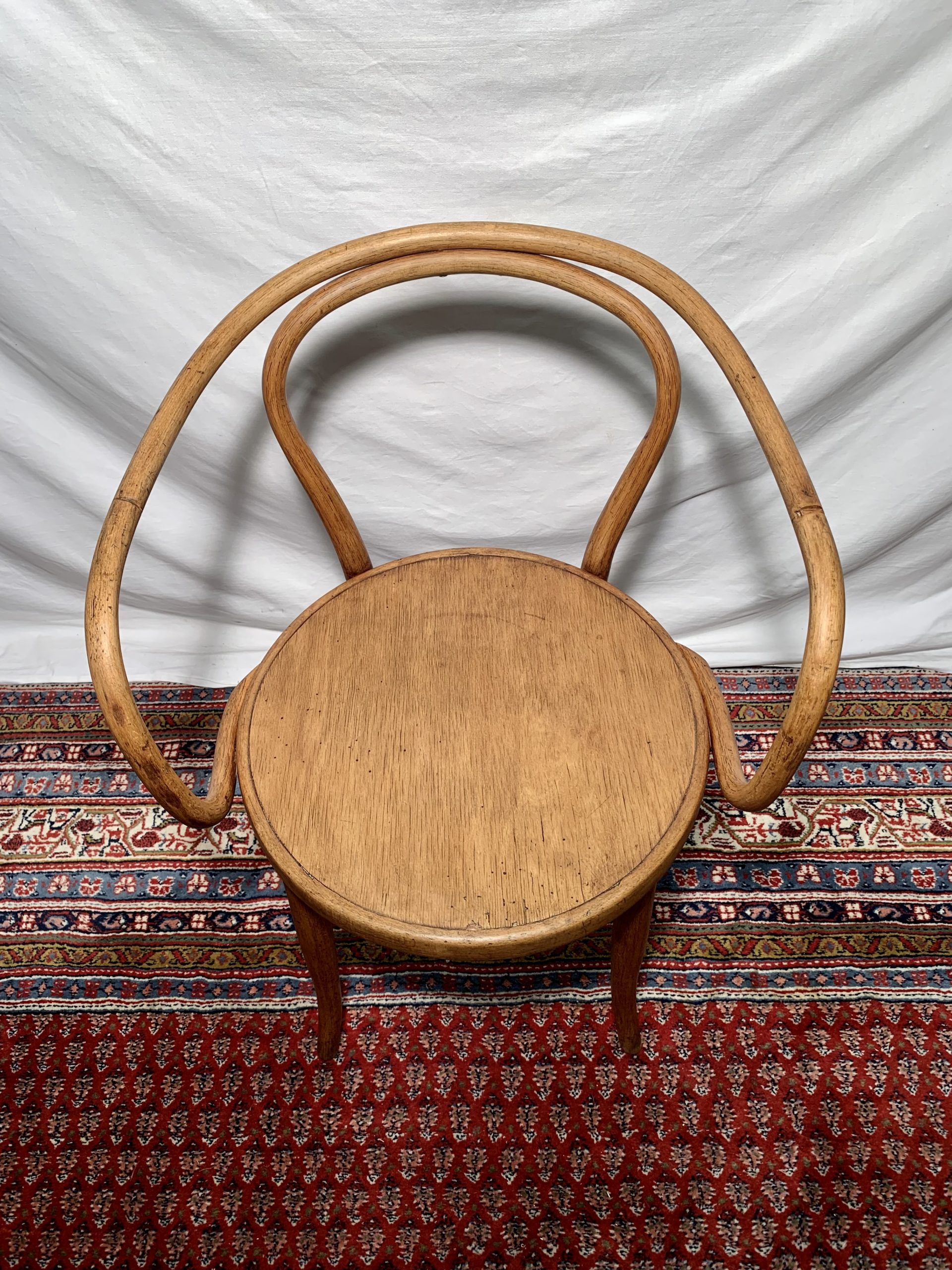 Fauteuil / Lehnstuhl "Le Corbusier" - J&J Kohn – Image 6