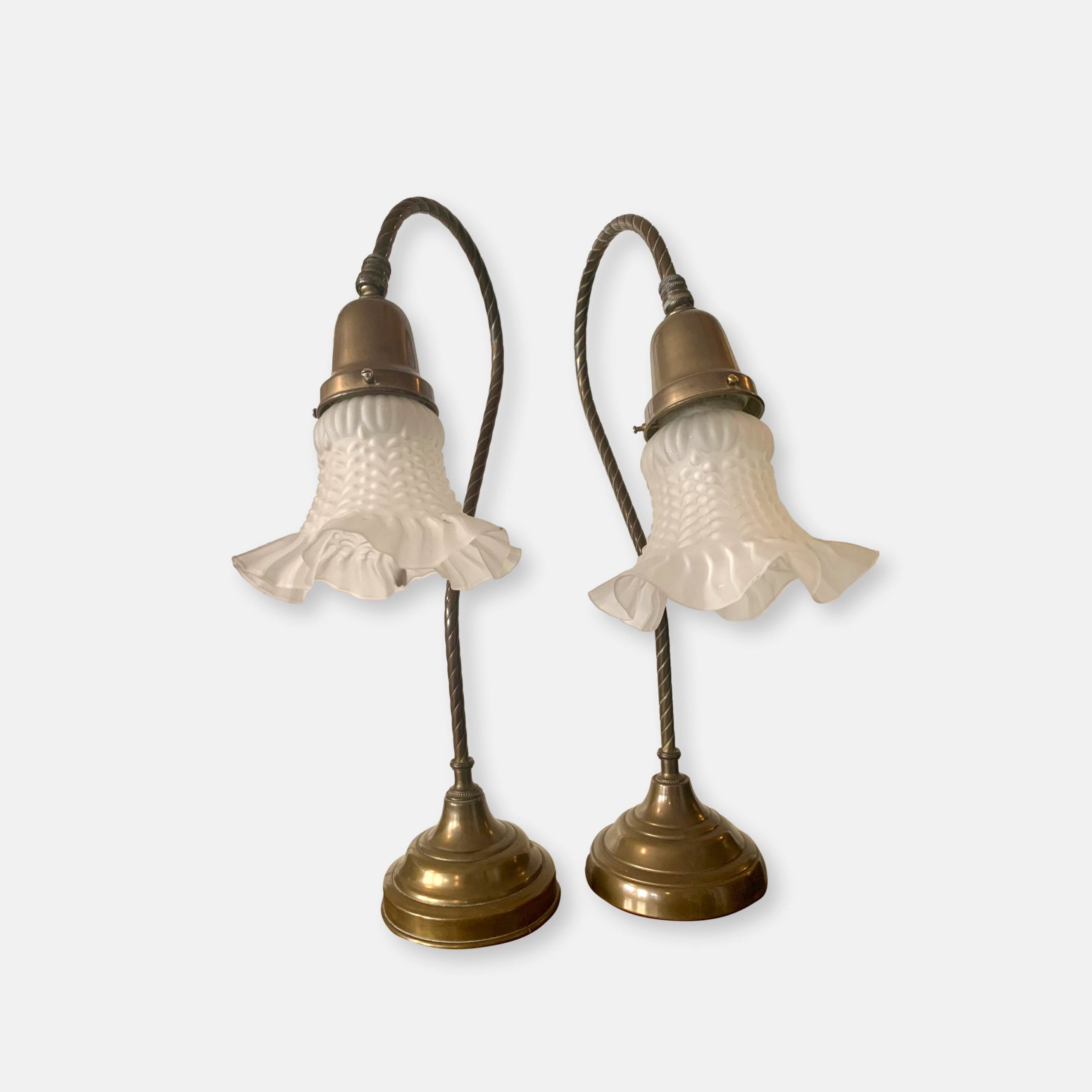 Paire de lampes tulipe