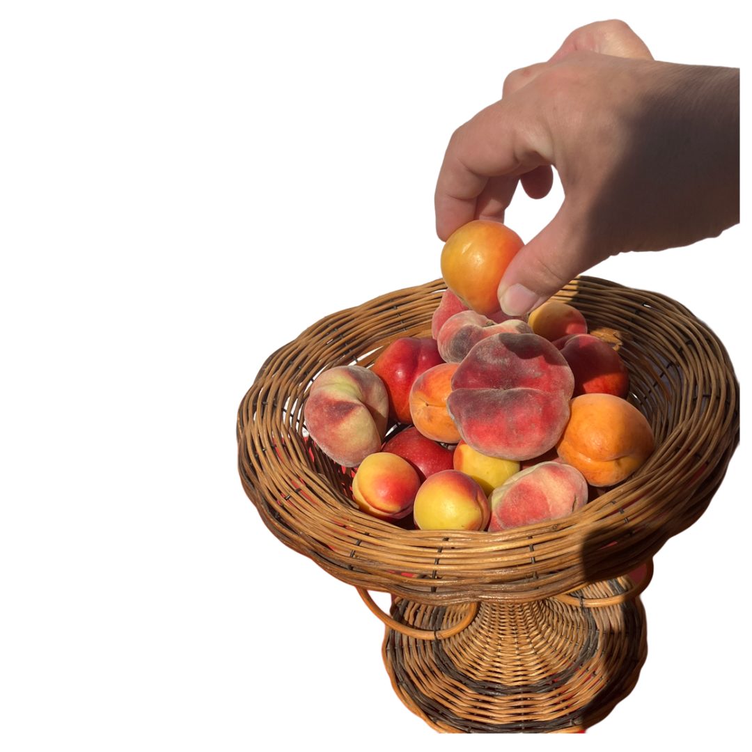 Corbeille à fruits en osier – Image 3