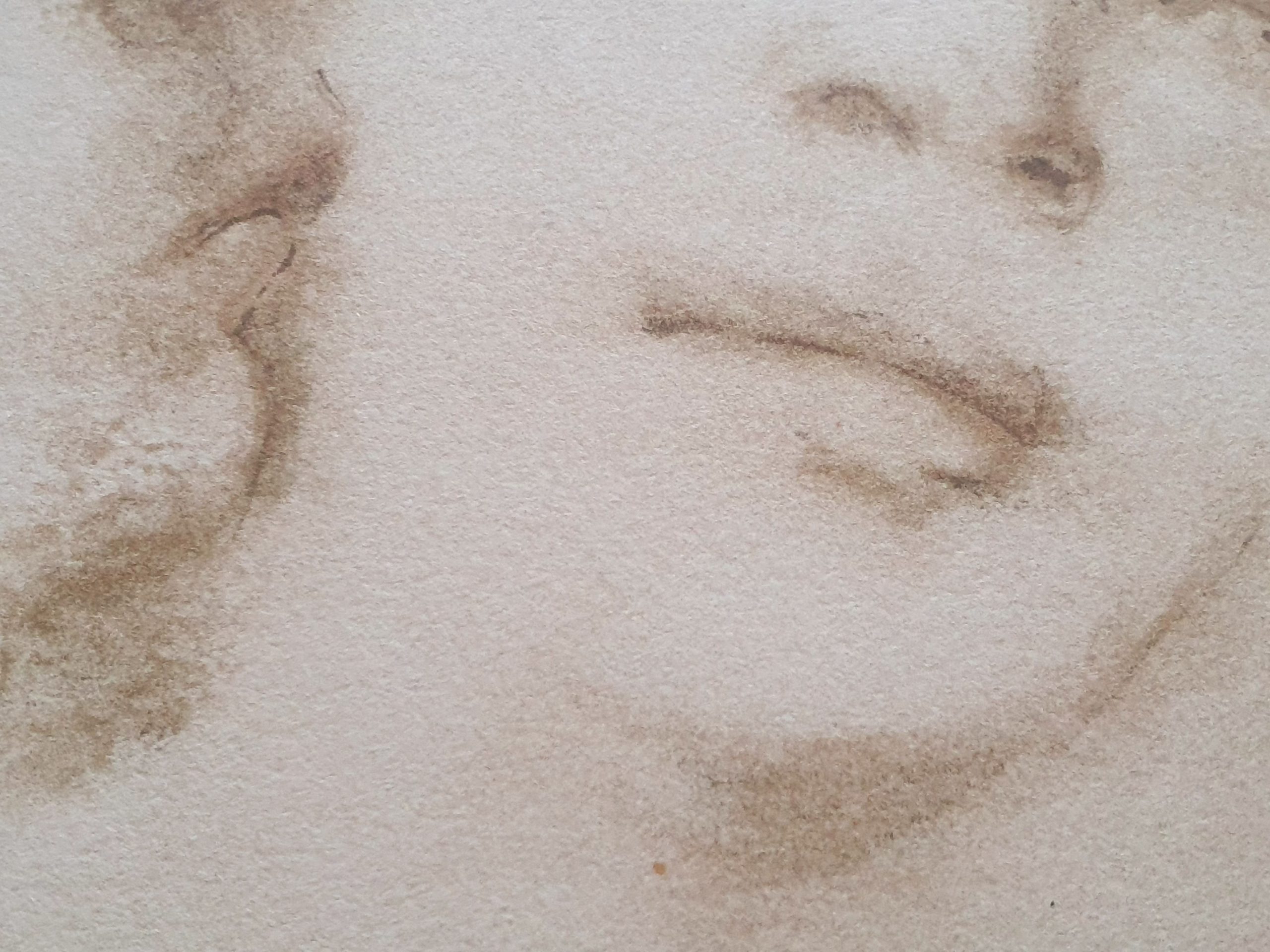 Lithographie Leonor Fini (1908-1996) « Le baiser » – Image 6