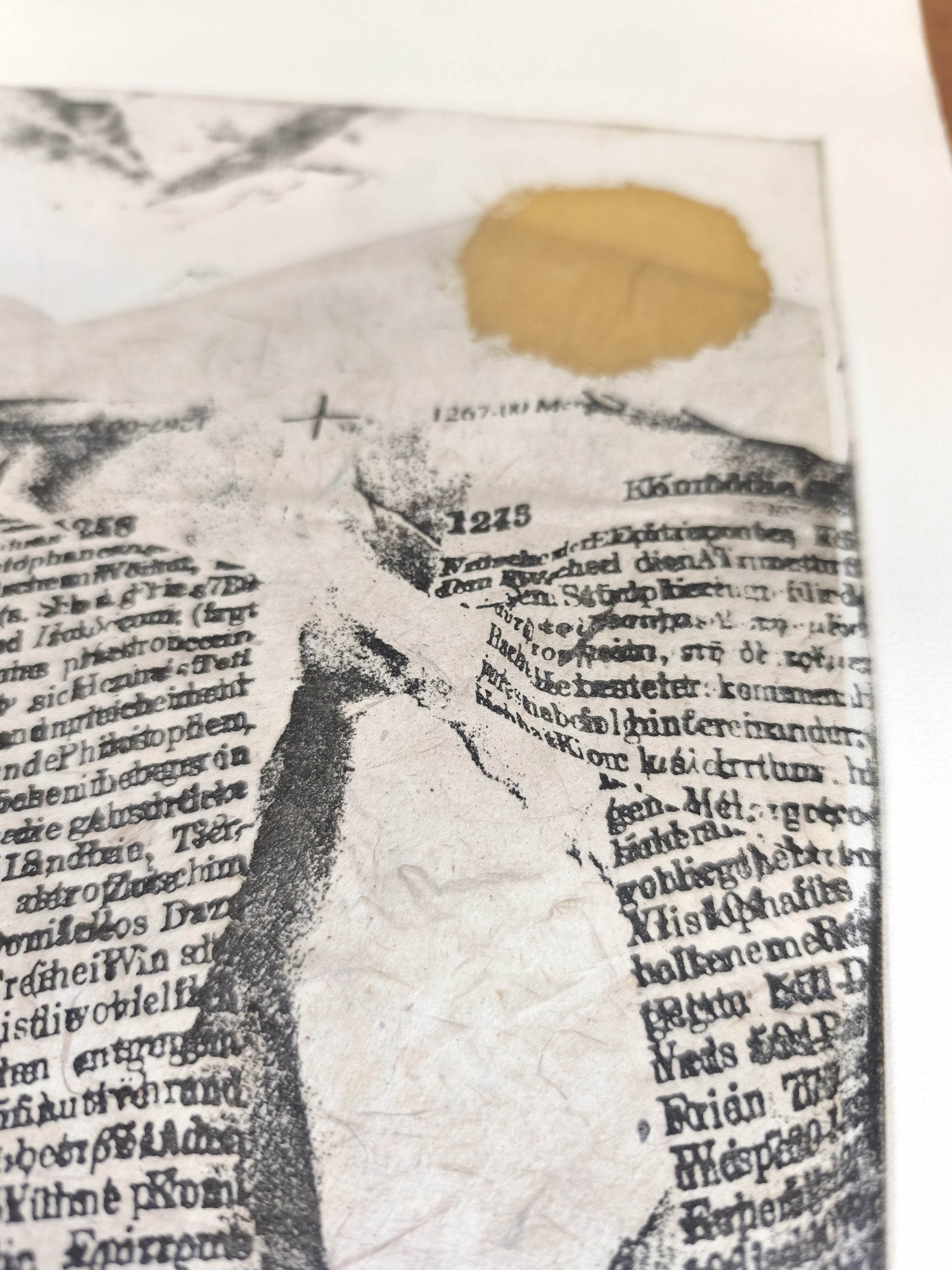 Collage sérigraphie – Image 7